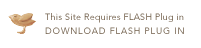 flash plug-ins